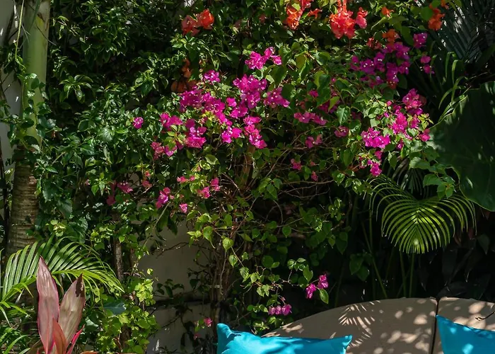 Yellow Moon, A Tropical 3br Sanctuary In *